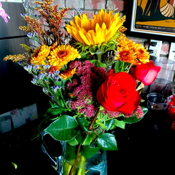 Meet your Posher, Roxy - Picture 1 of 1